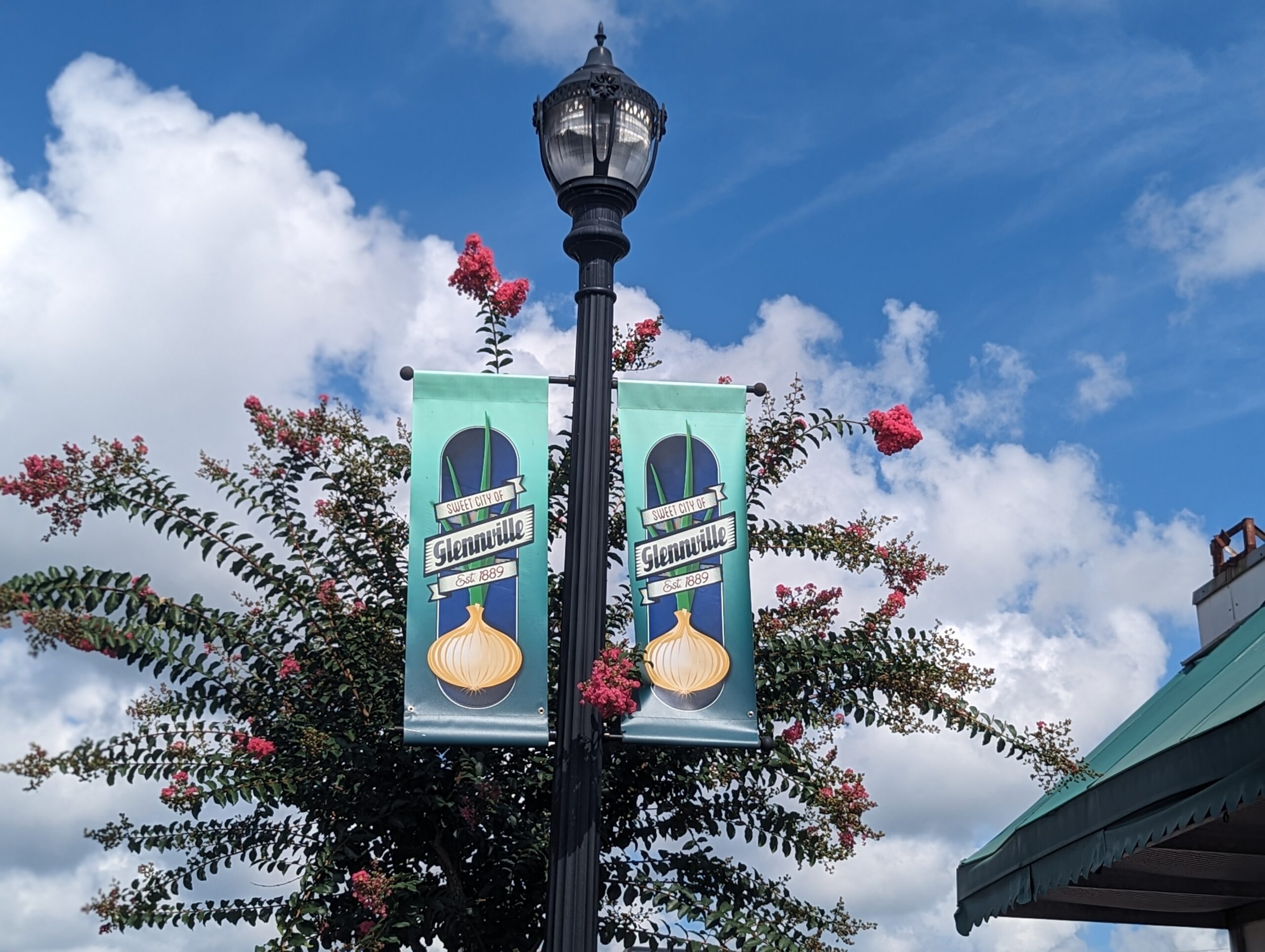 City of Glennville Flags